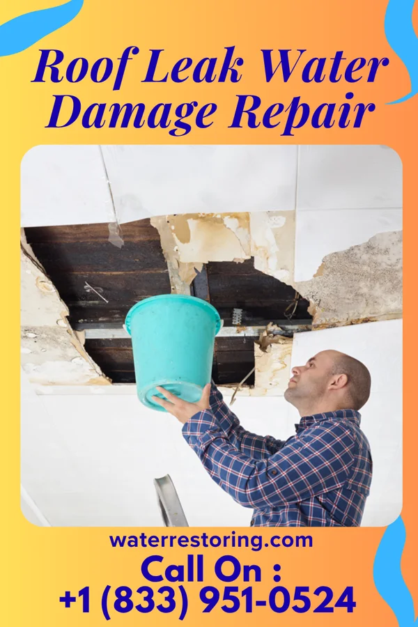 Roof Leak Water Damage Repair in Hartville, WY